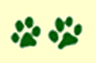 Cat Paws