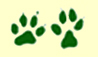 Dog Paws